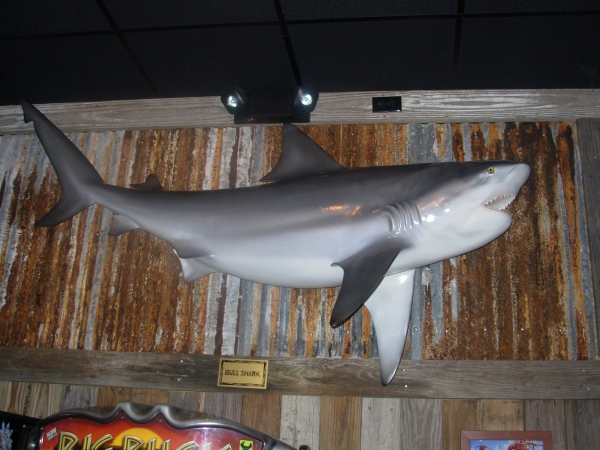 Creation of Fish Soups or Shark Dreams: Step 4